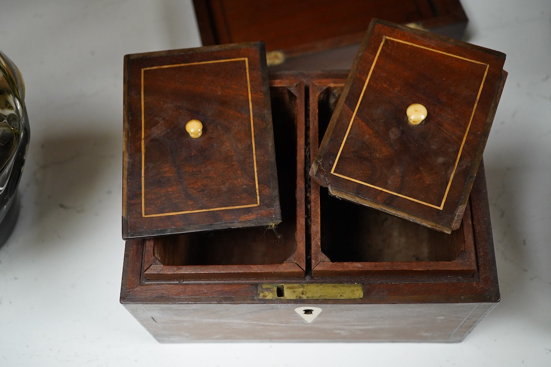Two 19th century mahogany tea caddies, one with bone escutcheon, largest 20cm wide